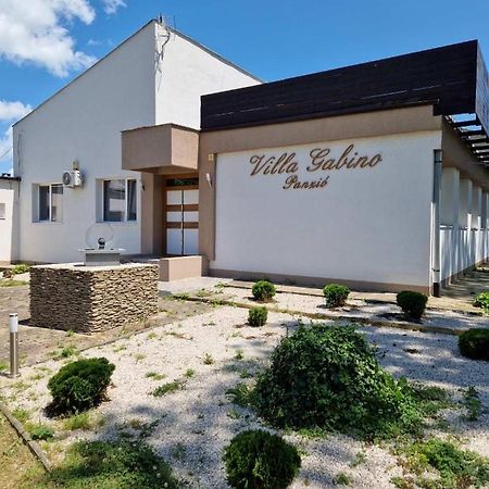 Villa Gabino Balatonbereny Luaran gambar