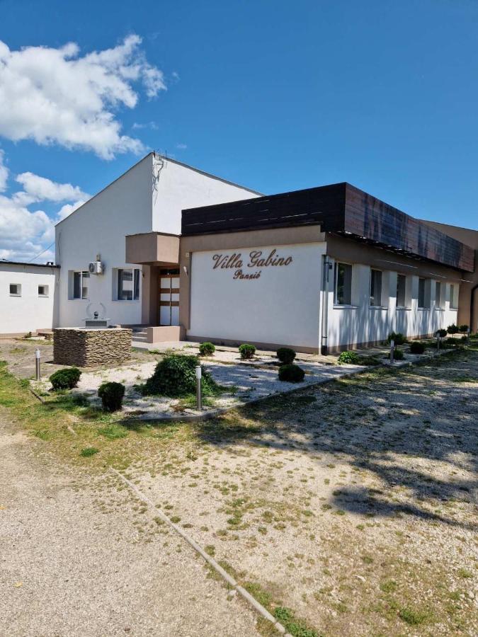 Villa Gabino Balatonbereny Luaran gambar
