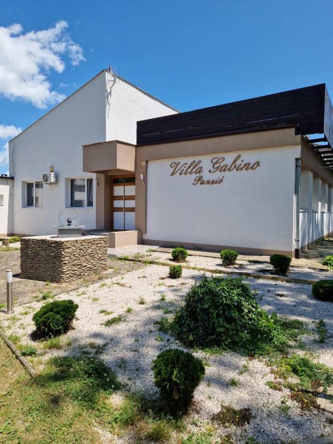 Villa Gabino Balatonbereny Luaran gambar